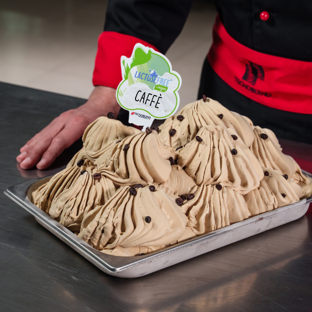 1,5kg Preparato per Gelato al Caffè senza Lattosio, per Vegani