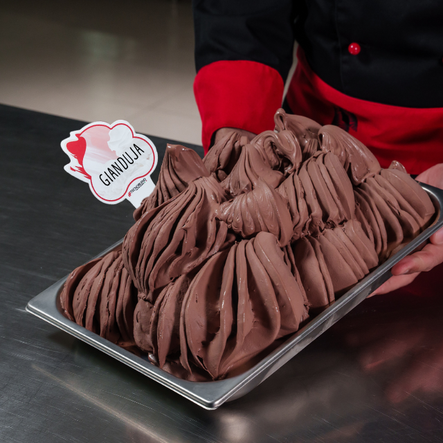 1,5 kg Preparato per Gelato alla Gianduja con pezzi