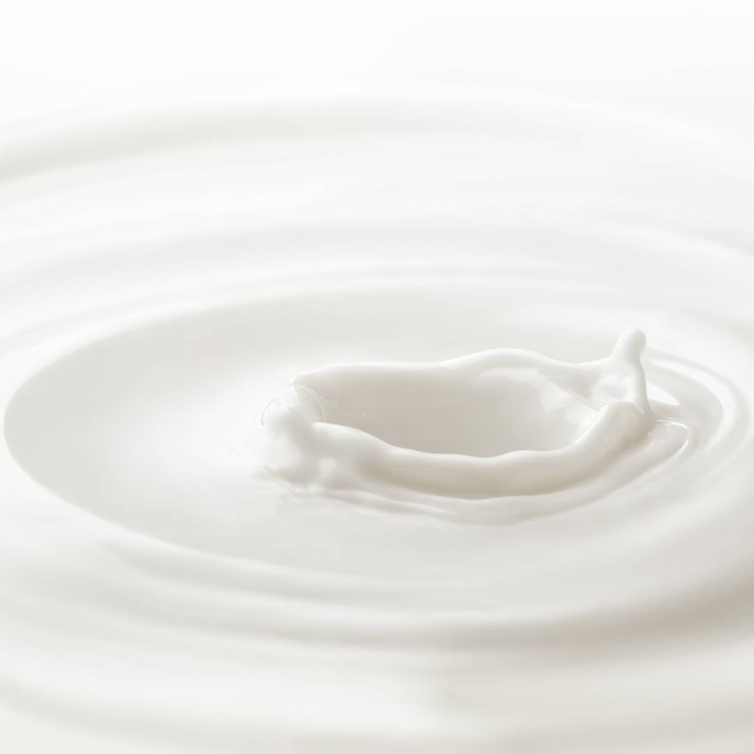 Sostituto in polvere del latte intero per gelateria, pasticceria e prodotti da forno, OPTIFAT 26V