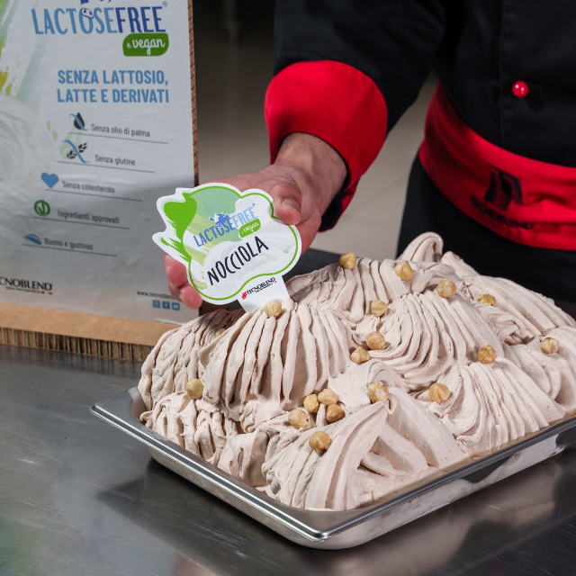 Preparato per Gelato alla Nocciola con pezzi senza Lattosio, per Vegani