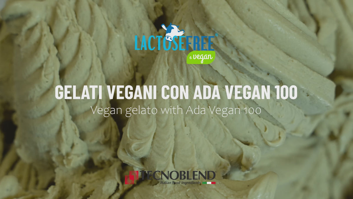 1 kg Base in polvere a Freddo per Gelati Vegani Crema e Frutta, ADA VEGAN 100