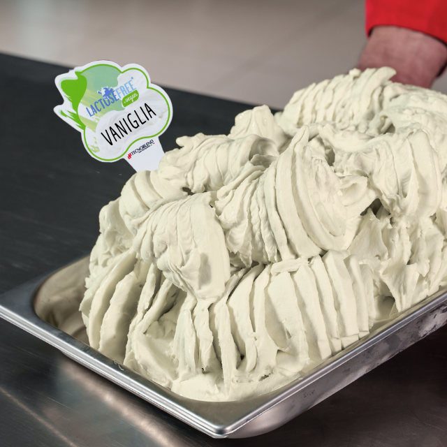 Preparato per Gelato alla Vaniglia senza Lattosio, per Vegani