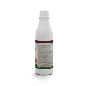 1kg Insaporitore in pasta per granite e ghiaccioli gusto pesca