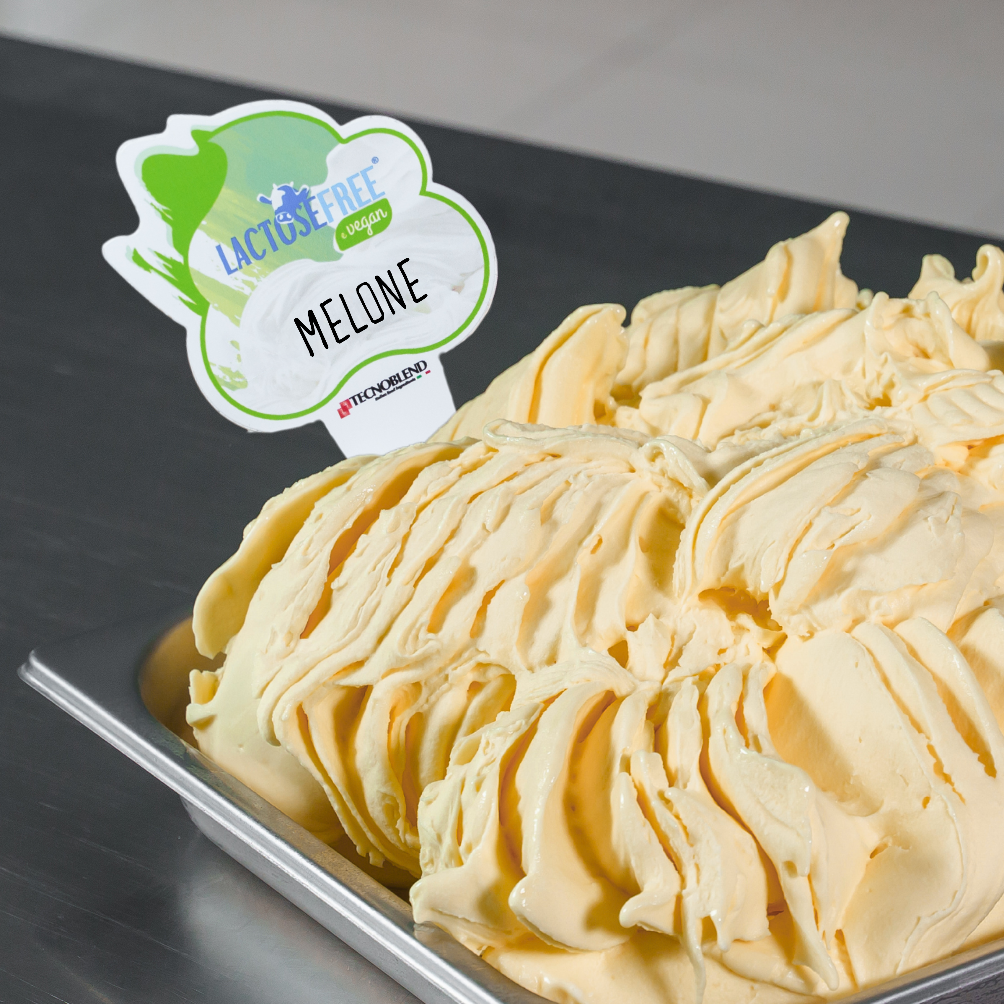 1,25 kg Preparato per Gelato al Melone con pezzi, senza lattosio, per vegani