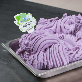 1,25 kg Preparato per Gelato al Mirtillo con pezzi, senza lattosio, per vegani