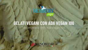 1 kg Base in polvere a Freddo per Gelati Vegani Crema e Frutta, ADA VEGAN 100