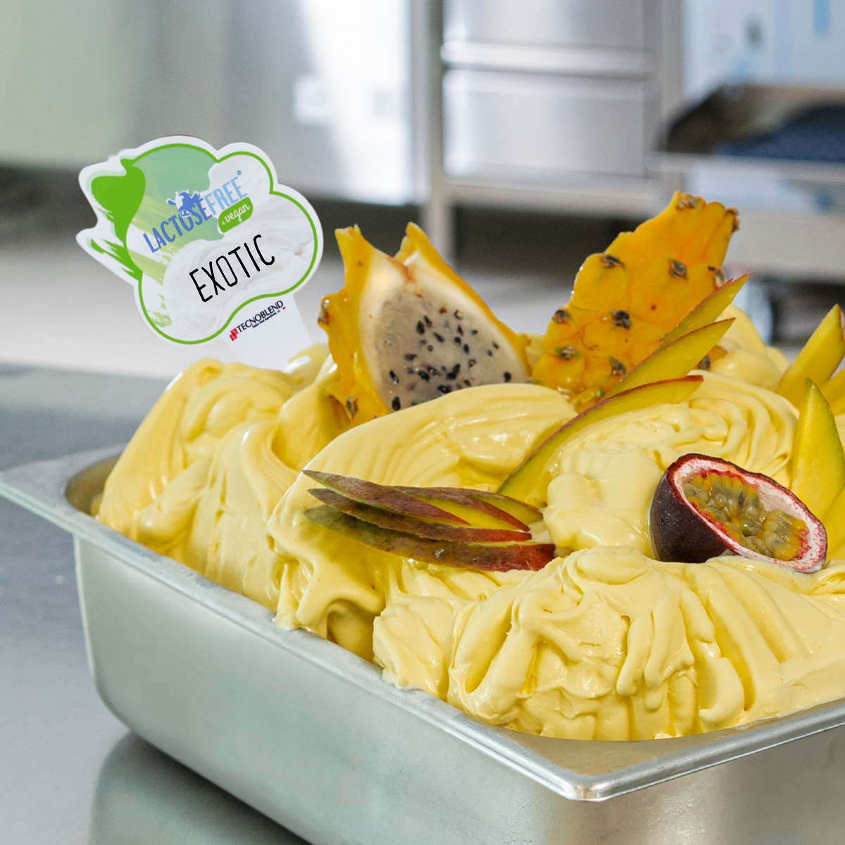 1,25 kg Preparato per Gelato ai Frutti Esotici senza lattosio, per vegani